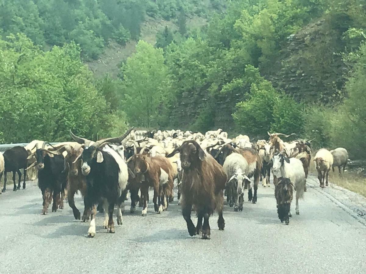 Mousafir Ontas Kapesovo Экстерьер фото
